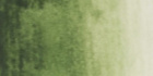 Жидкая акварель "Сибирская палитра", Темно-Зеленая, 20 мл